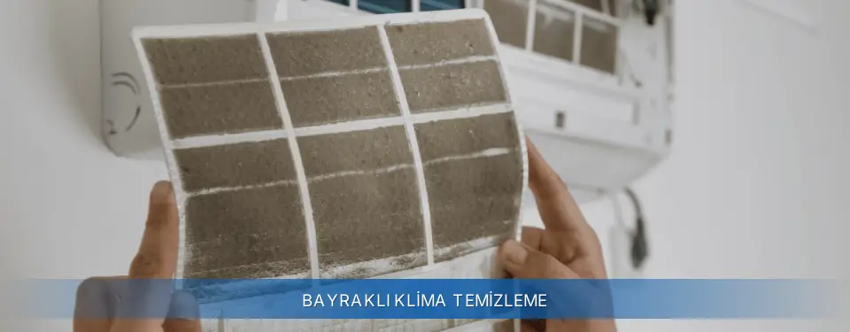 Bayraklı İlçemi General Electric Klima Temizleme